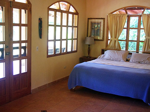 A group of butterflies